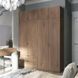 Шафа розпашна з антресоллю Doros Лукас 160х50х240 см Канноло