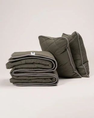 Комплект Ковдра і Подушки 40х60, Літній, Поплін, Двоспальний фото