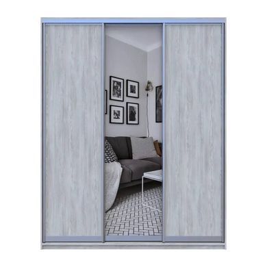 Шафа-купе Doros City Light Сосна Натті 2 ДСП / 1 дзеркало 225х60х225